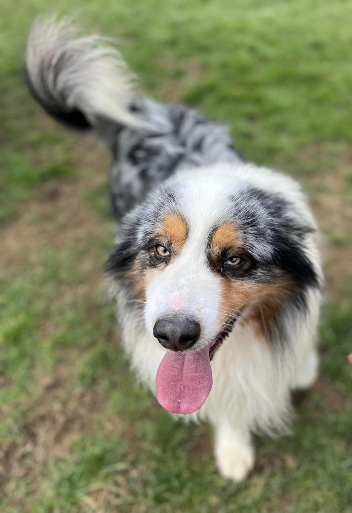 Max 