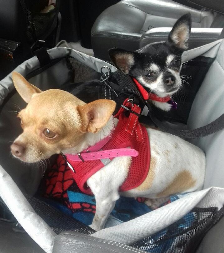 Minette & Lana